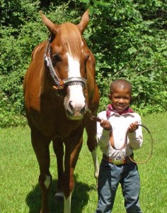 AV with horse